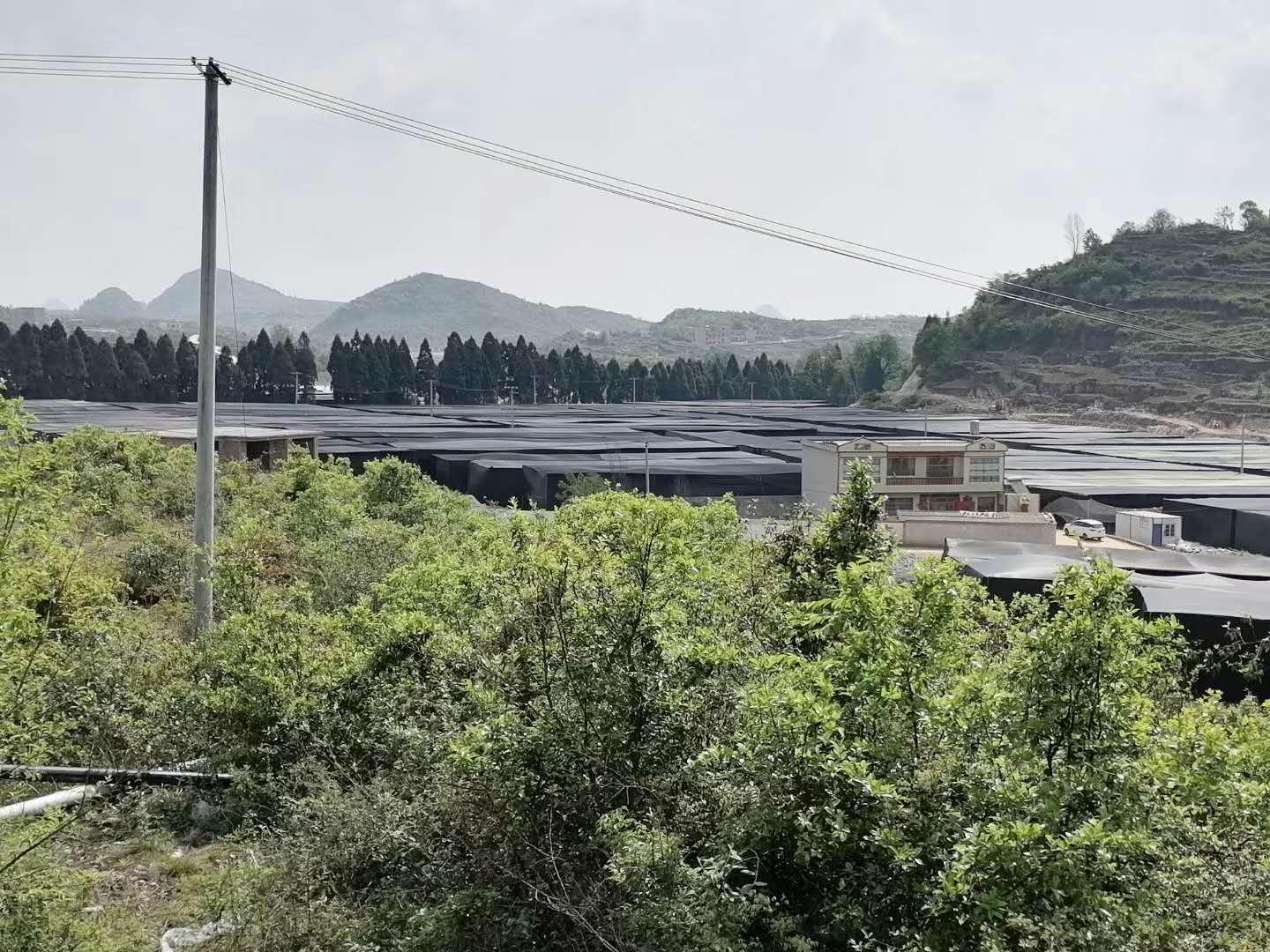 安顺平坝PYQ-1000蒸汽锅炉食用菌项目