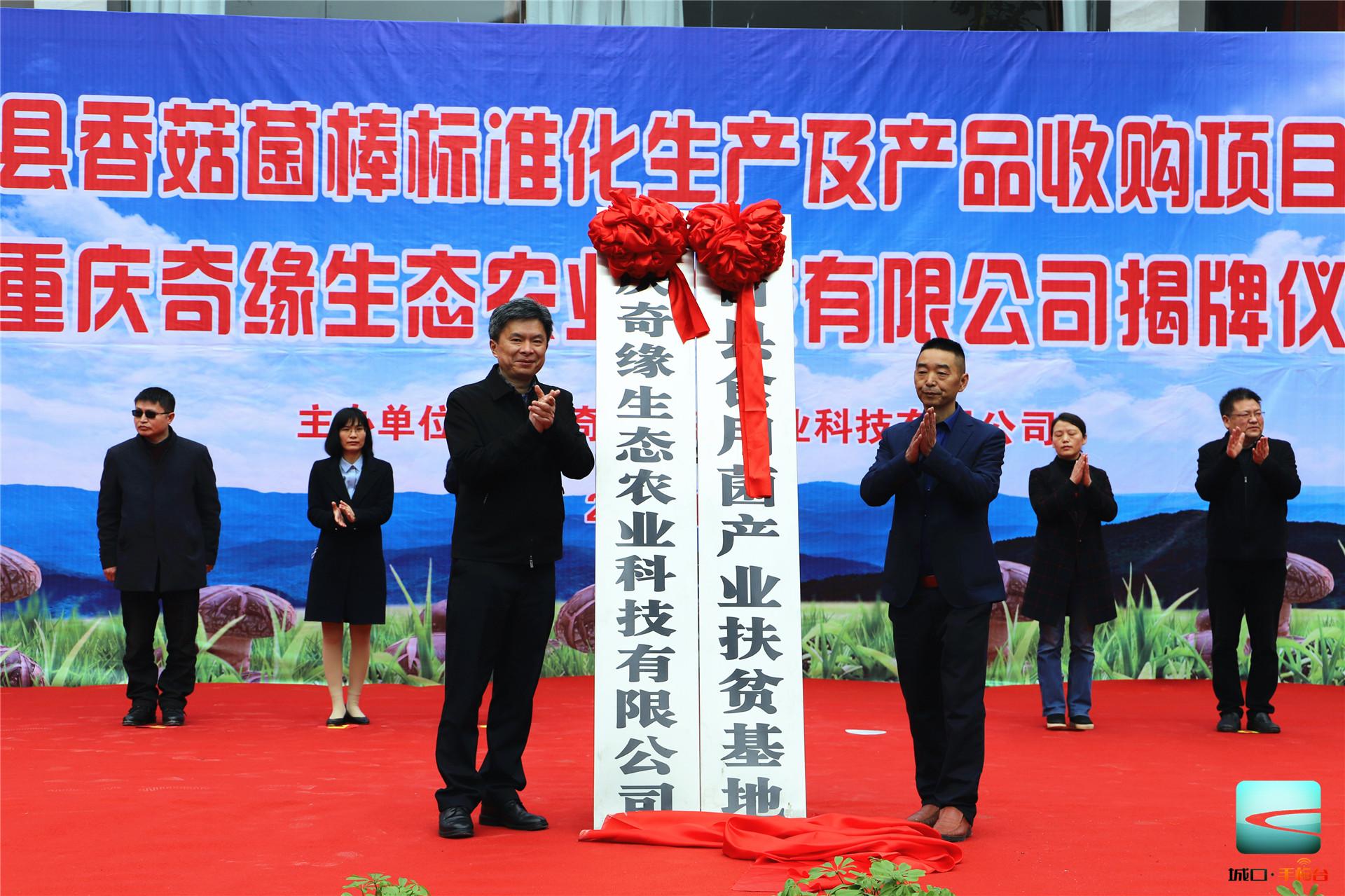 重庆PYQ-1400蒸汽锅炉食用菌项目